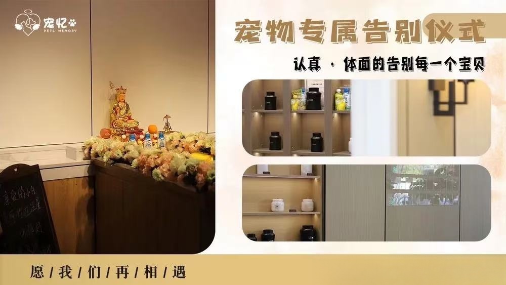 宜秀宠忆宠物善终服务PETS MEMORY